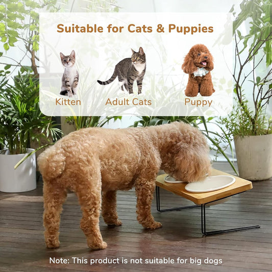 Elevated Cat Ceramic Bowls, Small Dog 15° Tilted Raised Food Feeding Dishes, Solid Bamboo Water Stand Feeder Set for Cats and Puppy