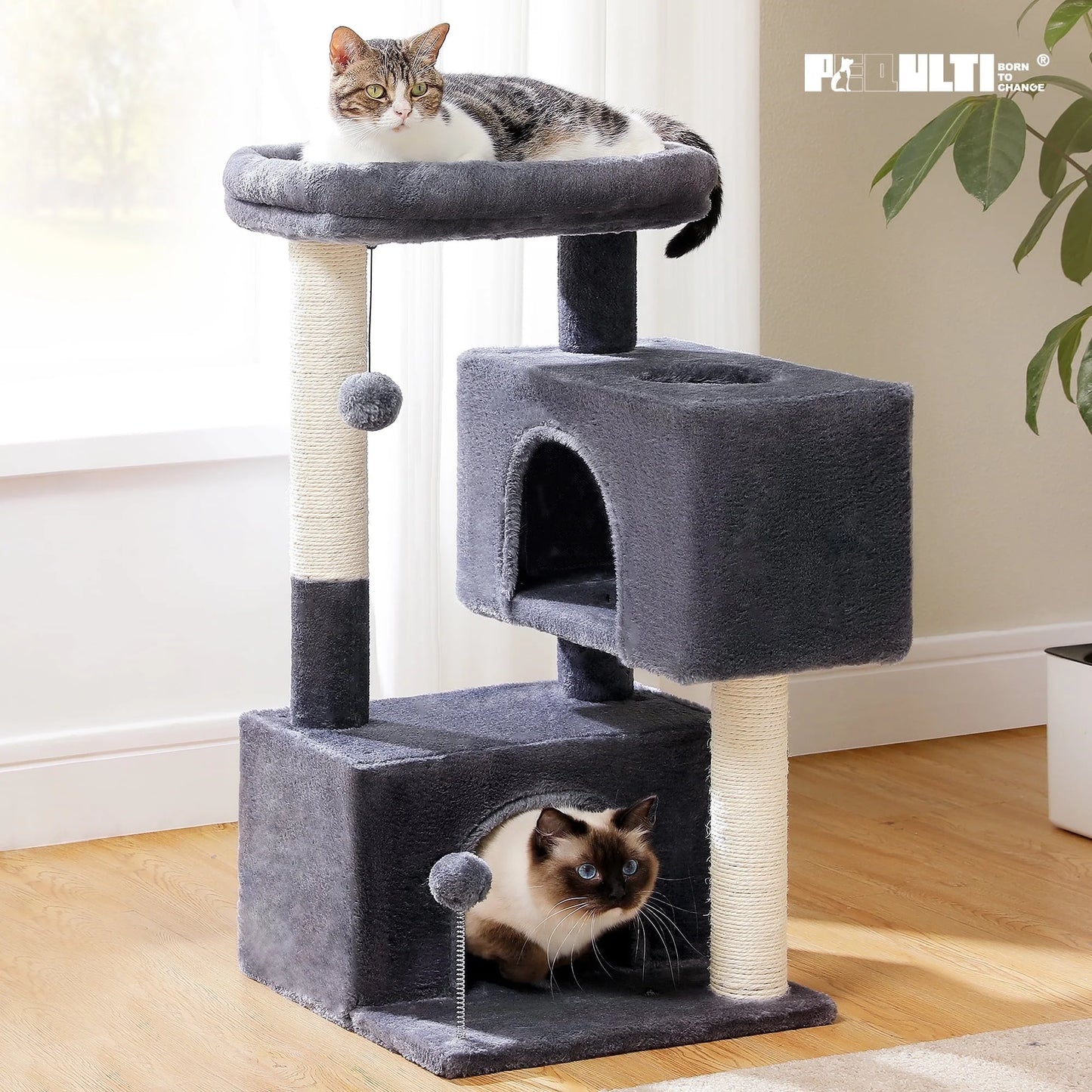 Ultimate Comfort for Your Cats: 31.5" Modern Dark Gray Cat Tree Tower with Spacious Dual Condos and Fun Accessories