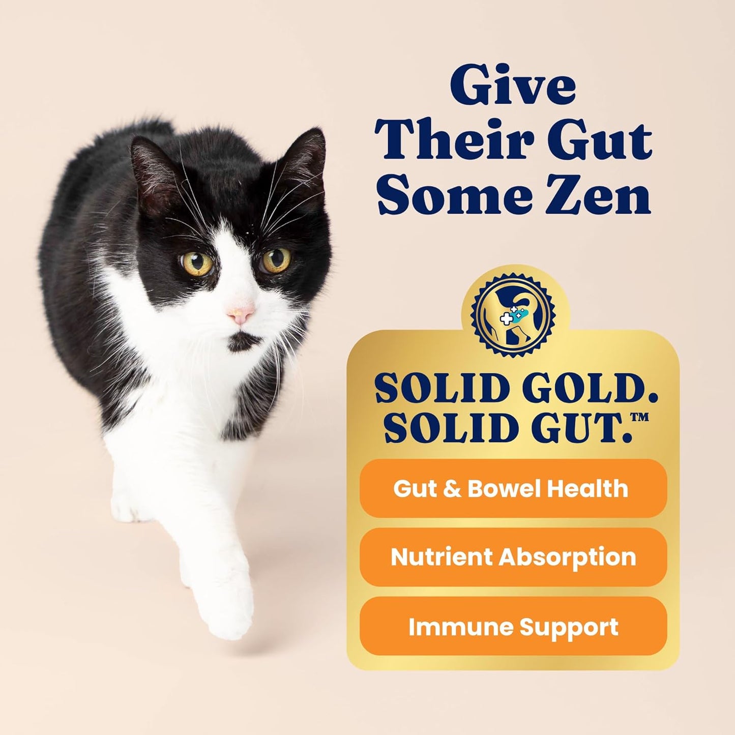 Solid Gold Indoor Cat Food - Grain Free & Gluten Free Chicken Kibble for Optimal Gut Health, Hairball Control & Sensitive Stomach Support - 12LB Bag for Happy, Healthy Indoor Cats