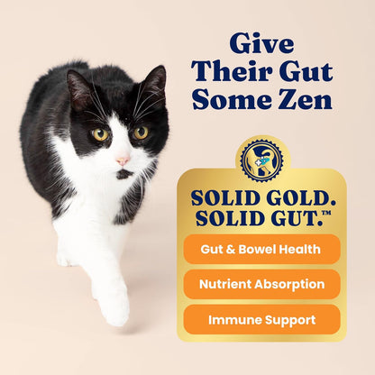 Solid Gold Indoor Cat Food - Grain Free & Gluten Free Chicken Kibble for Optimal Gut Health, Hairball Control & Sensitive Stomach Support - 12LB Bag for Happy, Healthy Indoor Cats