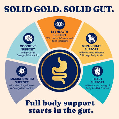 Solid Gold Indoor Cat Food - Grain Free & Gluten Free Chicken Kibble for Optimal Gut Health, Hairball Control & Sensitive Stomach Support - 12LB Bag for Happy, Healthy Indoor Cats
