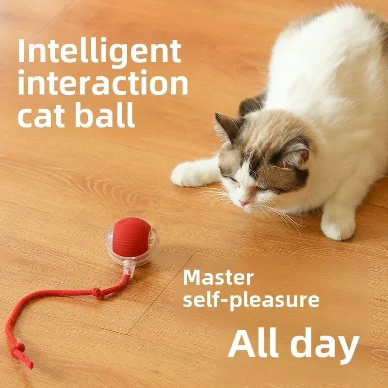 Interactive Rechargeable Dog and Cat Toy Ball with Realistic Sounds and Smart Features