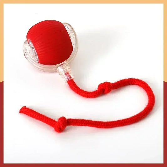 Interactive Rechargeable Dog and Cat Toy Ball with Realistic Sounds and Smart Features