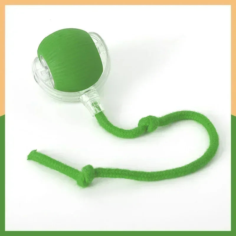 Interactive Rechargeable Dog and Cat Toy Ball with Realistic Sounds and Smart Features