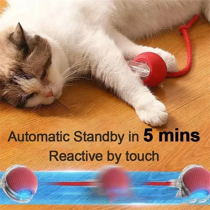 Interactive Rechargeable Dog and Cat Toy Ball with Realistic Sounds and Smart Features