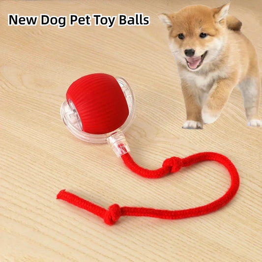 Interactive Rechargeable Dog and Cat Toy Ball with Realistic Sounds and Smart Features